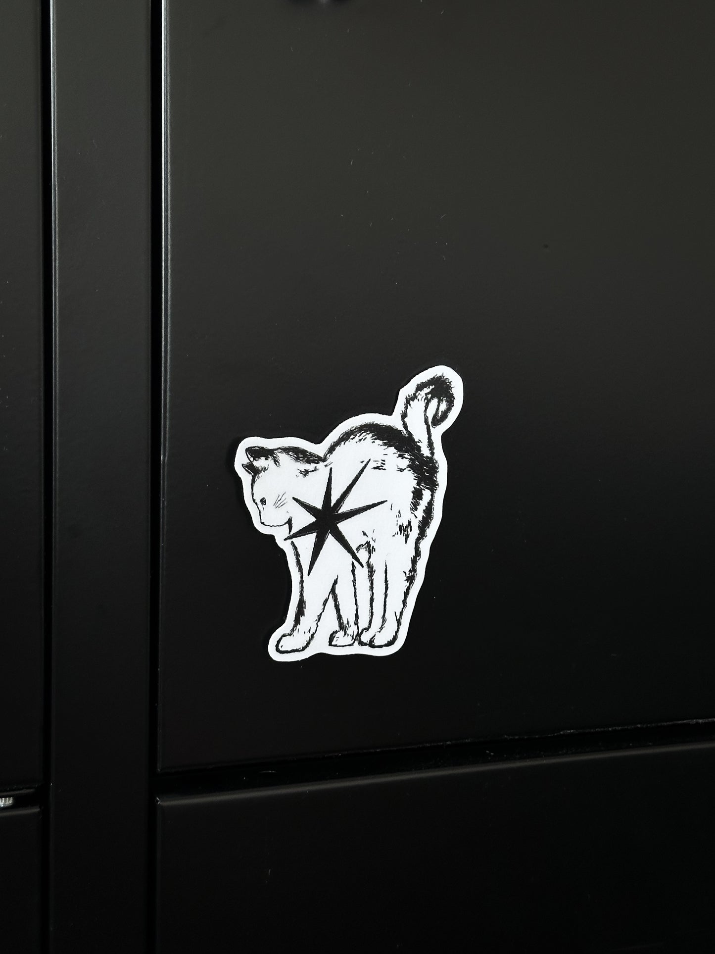 STAR KITTY sticker
