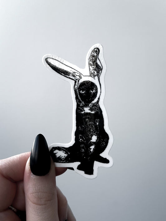 CAT BUNNY sticker