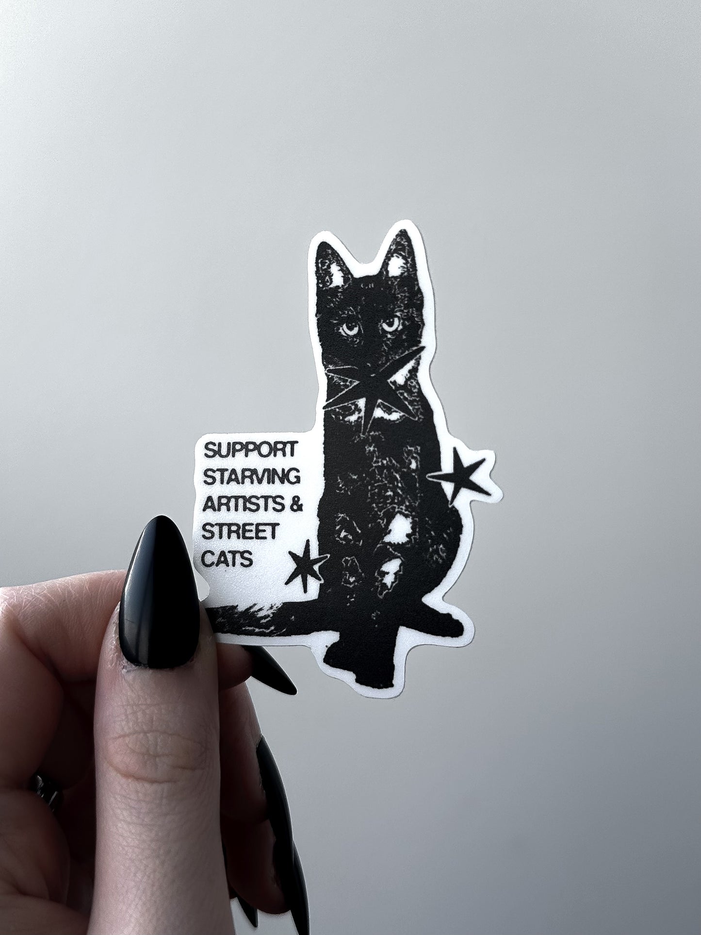 STREET CAT sticker
