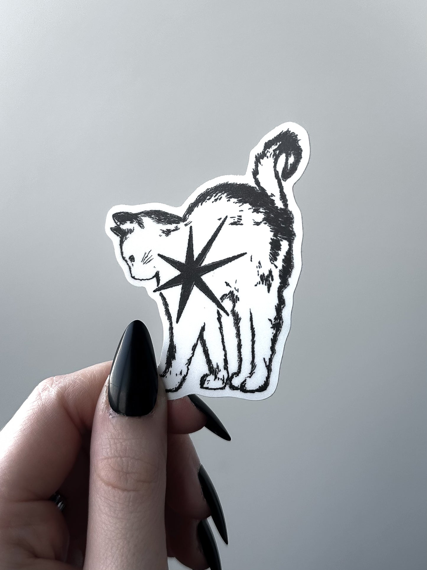 STAR KITTY sticker