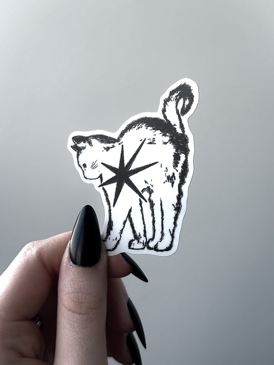 STAR KITTY sticker