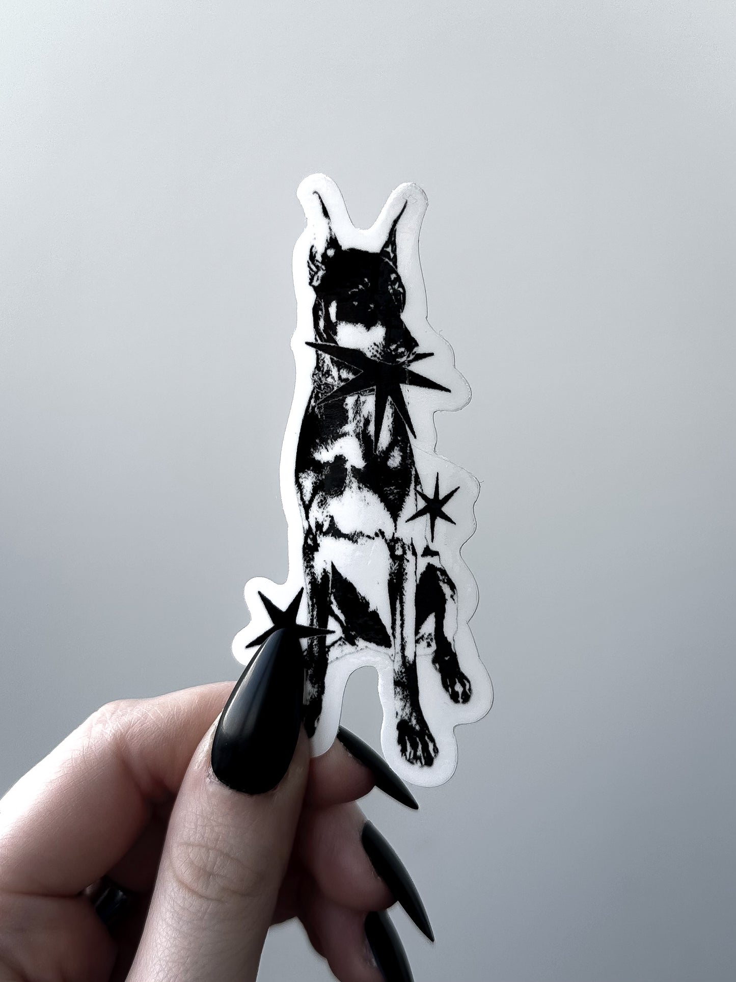 STAR PUP sticker