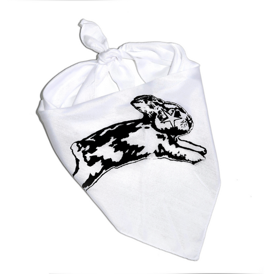 LUCKY BANDANA