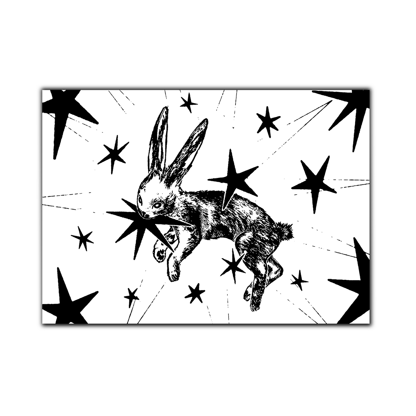 STARRY BUNNYY Print